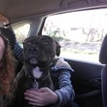 Patrick Okeefe - @okeefe1592 - Instagram