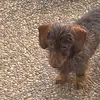 Patrick O'Keefe - @patrick.okeefe - TikTok