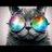 Patrick Olsen - @palle.007 - TikTok