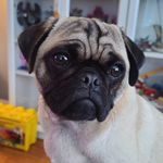 Patrick O'Malley - @omalley.patrick - Instagram