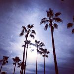 Patrick O'Malley - @__patrickomalley__ - Instagram