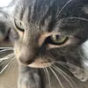 Patrick Oneill - @patrickoneill00 - TikTok