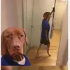 Patrick O’Neill - @patrick.oneill123 - TikTok