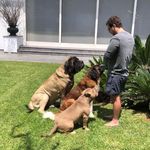 Patrick Ortmann - @patrick.ortmann - Instagram