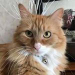 Patrick Ortega - @patri.ck.pac - Instagram