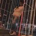 Patrick Ortega - Facebook