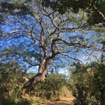 Patrick Ortlieb - @p.o.a.t.r.e.e - Instagram