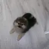 Patrick Ostanin - @patrick_ostanin - TikTok