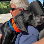 Patrick Overton - @overtonpt - Instagram