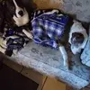 Patrick Overton - @patrick.overton - TikTok