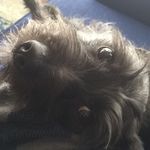 Patrickoviatt - @patricko2126 - Instagram