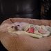 Patrick Owens - Facebook