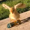 packpatrickanddic - @packpatrick - TikTok