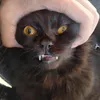Patrick Paez - @patrick.paez - TikTok