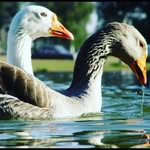 Patrick palacios - @patrickpalacios6 - Instagram
