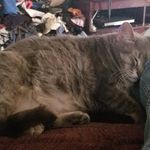 Patrick Parks - @patrickparks4 - Instagram