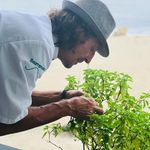patrick parmentier - @lefoofrog - Instagram