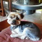 Patrick Pascale Thimothee - @patrickthimothee - Instagram