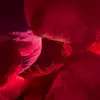 patrickpascale1 - @patrickpascale1 - TikTok
