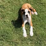 Pat Paterno - @patrick_paterno - Instagram