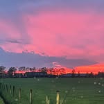 Patrick - @patrick.pater - Instagram