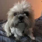 Patrick - @patrickpaterek - Instagram