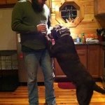 Patrick Pattillo - @patrickpattillo - Instagram