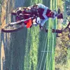 patrick pauer - @patopauer222 - TikTok