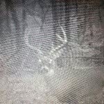Patrick Paugh - @patrickpaugh989 - Instagram
