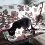 Patrick Paulick - @patrick.paulick.148 - Instagram
