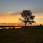 Patrick Paulsen - @pad_dy80 - Instagram