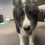 Patrick Peach - @patjpeach - Instagram