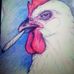 Patrick Peak - Facebook