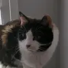 patrickpeak - @patrickpeak0 - TikTok