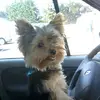 peanpatrick - @peanpatrick - TikTok