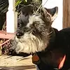 patrickpeltier32 - @patrickpeltier32 - TikTok