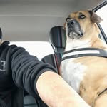 Patrick Penet - @patrick.penet - Instagram
