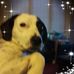 Patrick David Penn - Facebook