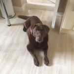 Patrick Penn - @paddy_penn - Instagram