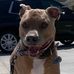 Patrick Penner - Facebook