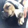 patrick_spenner - @patrick_spenner - TikTok