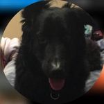 Patrick Pennington - @patrrick.pennington - Instagram