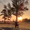 patricklpeoples - @patricklpeoples - TikTok