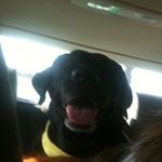 Daniel Patrick Percy - @danielpatrickpercy - Instagram