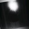 Patrick Perrotti - @patrickperrotti - TikTok