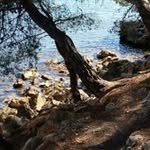 Patrick Perrier - @perrierpatrick50 - Instagram