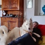Perrier Patrick - @patrick.perrier81 - Instagram