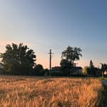 Patrick Petrean - @petreanpatrick - Instagram
