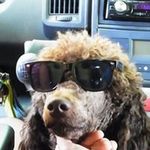 Patrick Pfaff - @p_pfaff - Instagram