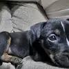 Patrick Phares - @patrick.phares8 - TikTok